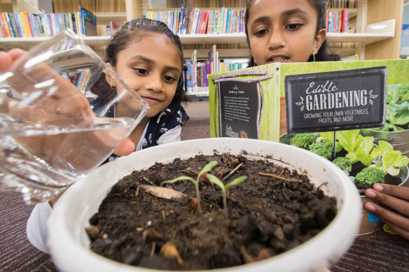 Abigail (left) and Judith Manalil at Sam Merrifield Library in Moonee Ponds, which runs a seed library.