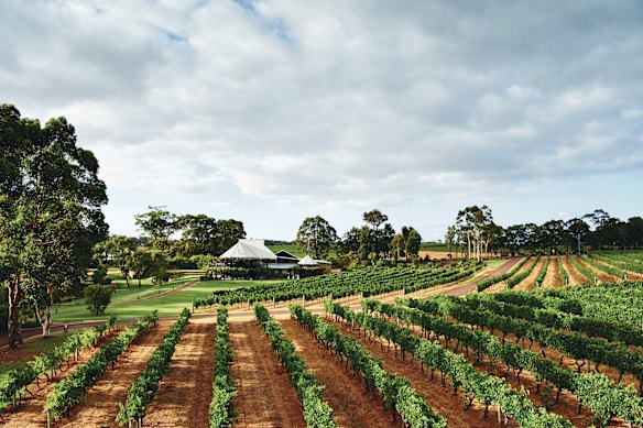 Vasse Felix, one of the best-known in a region full of great wineries.