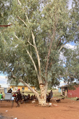 The towering gum tree – ngaripi – in Yuendumu, was witness to the events of November 9, 2019 – “the shots, the screams, everything” – and is now part of the community’s healing.