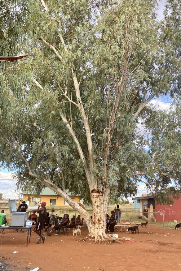 The towering gum tree – ngaripi – in Yuendumu, was witness to the events of November 9, 2019 – “the shots, the screams, everything” – and is now part of the community’s healing.