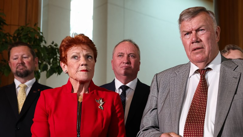 One Nation migration policy in a shambles after Farley comments