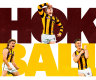 Hashtag Hokball: Behind the Hawthorn craze, and why it’s catching on