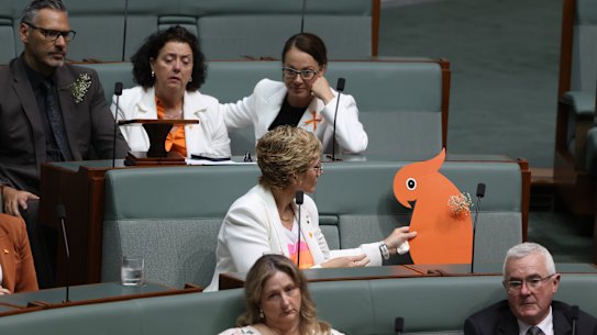 Member for Warringah Zali Steggall with an orange cockatoo, occupying Helen Haines’ vacant seat.
