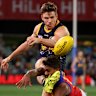 Paul Seedsman of the Crows in 2021. 
