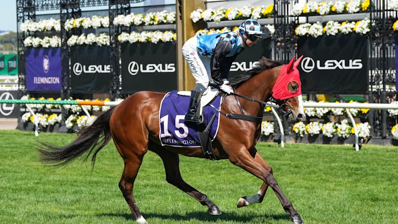 Tips and previews for racing at Randwick on Saturday