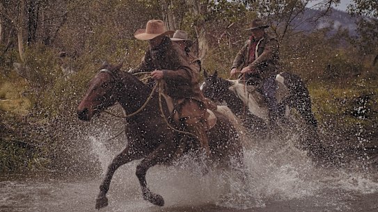 In search of brumbies: a survey estimates the Victorian and NSW wild horse population to be more than 25,000.