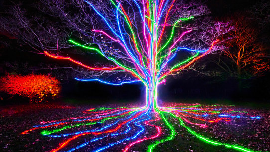 Lightscape, at the Royal Botanic Garden is part of Vivid 2023, but it has paid entry.