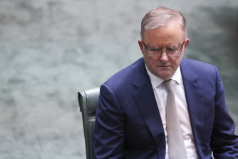 Opposition leader Anthony Albanese has backed a push to expand paid domestic violence leave to all workers.