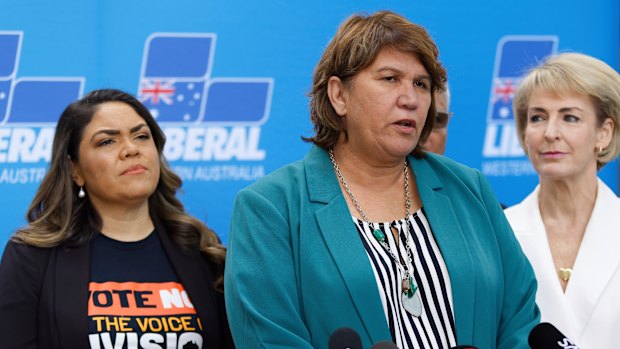 Senator Kerrynne Liddle: Voice to Parliament vote No on October 14