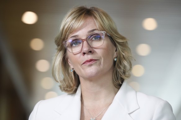 Independent MP Zali Steggall is opposed to the offshore drilling project.