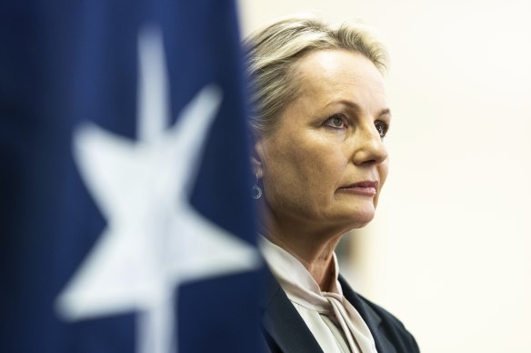 Deputy Liberal leader Sussan Ley.