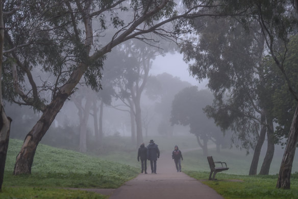 The Merri Creek trail on a winter morning