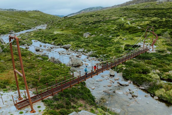 Australia’s highest suspension bridge over Spencers Creek.