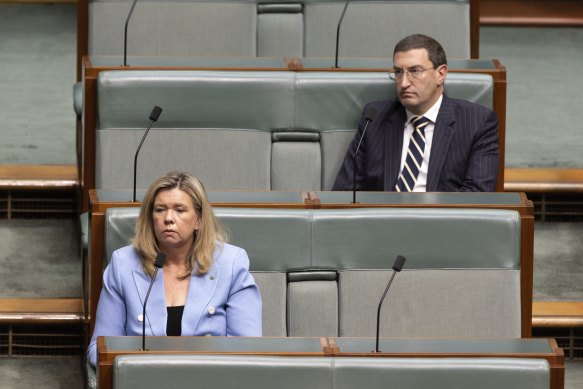 Two of the Coalition’s only pro-Voice MPs, Julian Leeser and Bridget Archer.