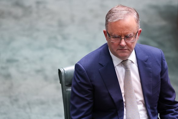 Opposition leader Anthony Albanese has backed a push to expand paid domestic violence leave to all workers.