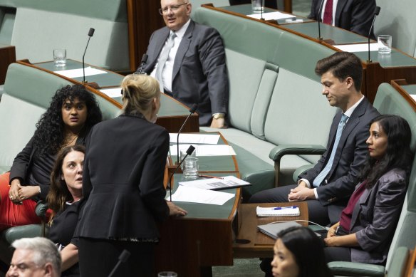 Deputy Opposition Leader Sussan Ley approached the government backbench to speak to Labor MP Sam Rae (wearing blue tie) at the end of question time.