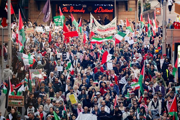 Pro-Palestine and pro-Iran protesters marching through Sydney in June.
