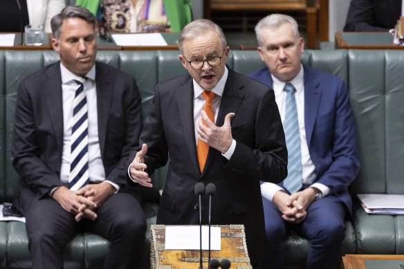 Challenges ahead: Prime Minister Anthony Albanese in parliament this week.