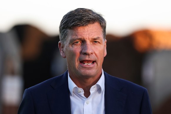 Opposition Leader Angus Taylor.