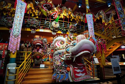 Dai Gum Loong, the dragon that will be awakened for the Easter Sunday parade, in Bendigo’s Golden Dragon Museum.