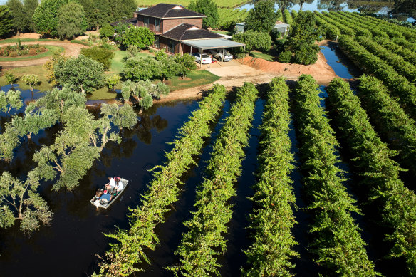 A farm surrounded by floodwater in Mildura in December. 