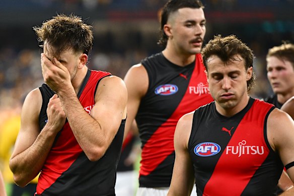 Martin and Andrew McGrath are striving to break a cycle of mediocrity at Essendon.