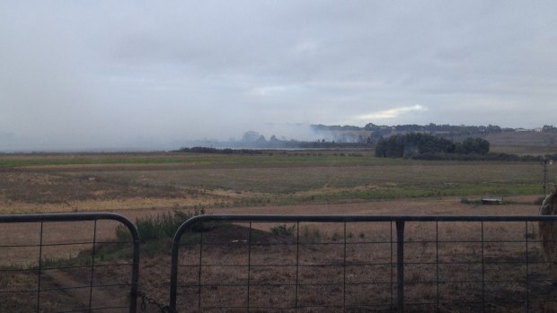 Smoke from burning peat in south-west Victoria
