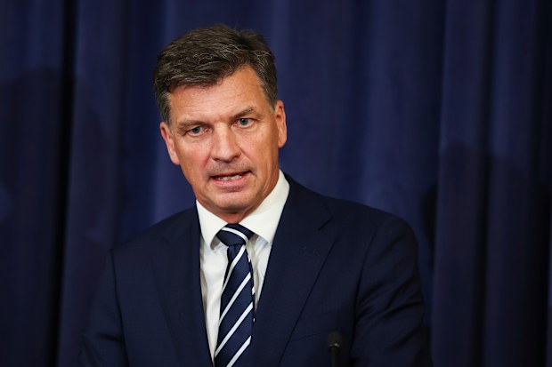 Angus Taylor says Liberal Party to champion free markets and smaller  government policies
