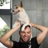 The dogs of aww: Melbourne is officially canine crazy