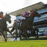 Pride’s artistry picture perfect for Brutality in Villiers masterpiece