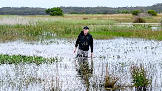 Ben Cullen at the Tootgarook Wetlands.