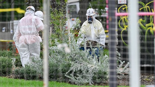 Half a dozen hazmat suit-wearing inspectors are raking through and remove asbestos mulch at Donald McLean Reserve in Spotswood on Friday.