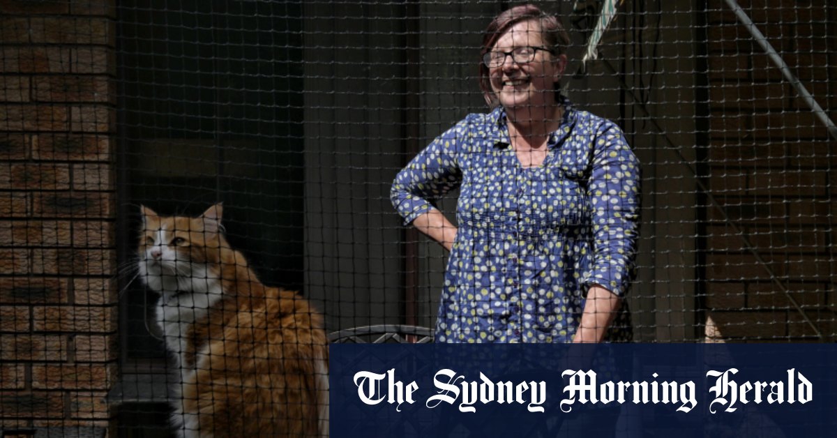 Cat curfew safety measures debated to protect wildlife