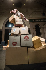 Lee Wilson scales a cardboard box mountain at North Melbourne's Meat Market.