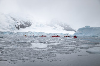 La Península Antártica alberga muchas bacterias previamente desconocidas que se revelan durante el derretimiento. 