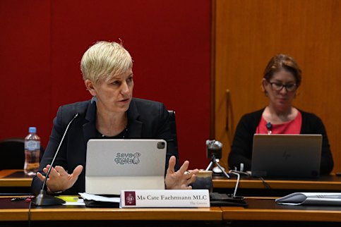 Cate Faehrmann said parents were particularly concerned about addictive features of online gaming.