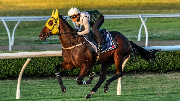 Ka Ying Rising is very familiar to all the Hayes family.