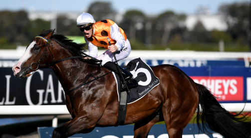 Joshua Parr guides Menari wins to victory in The Run To The Rose race at Rosehill last September.
