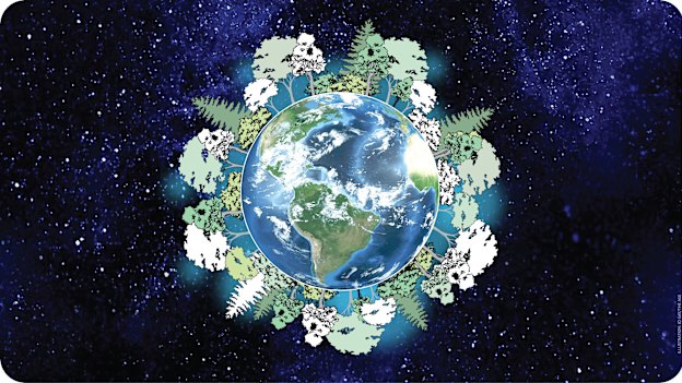 A reforestation solution would involve increasing the world's tree canopy by about 25 per cent.