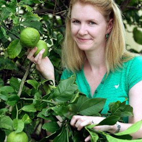 Minns started a blog, the Daily Lime, when her children were young.