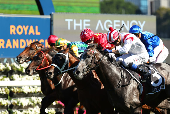 Celestial Legend (red and white silks) drives to the line in the Randwick Guineas.