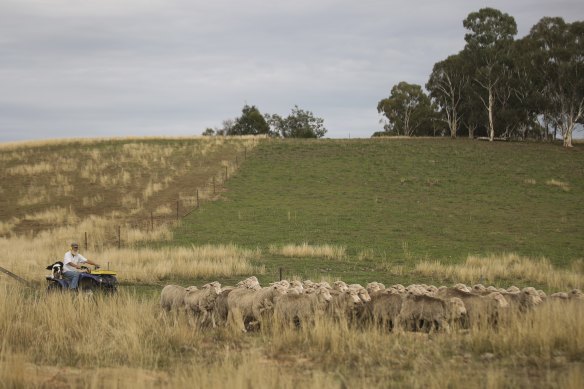 The carbon market is bracing for a boom in emissions offsets projects. 