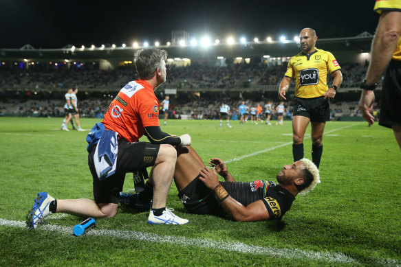 Penrith trainer Pete Green has been banned for the rest of the NRL season.