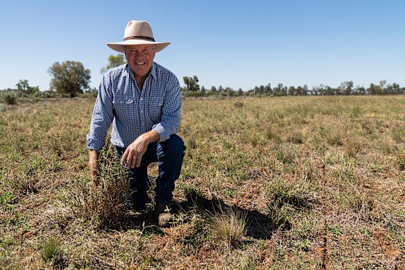 Bruce Maynard describes his farming
style, which doesn’t turn up soil or use chemicals, as “no-kill cropping”.