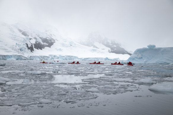 The Antarctic Peninsula is host to many previously unknown bacteria which are being revealed during thaws. 