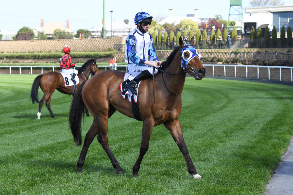 John Allen aboard Junipal at Moonee Valley earlier this month. 