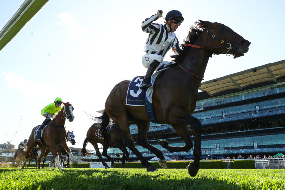 Belclare is top pick in the Hot Danish.