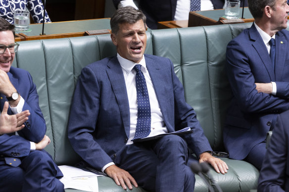 Shadow treasurer Angus Taylor during question time today.