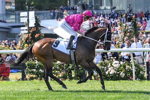 Randwick races Wednesday tips and full preview for Kensington meeting