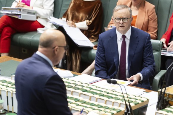 Opposition Leader Peter Dutton and Prime Minister Anthony Albanese during question time this afternoon.